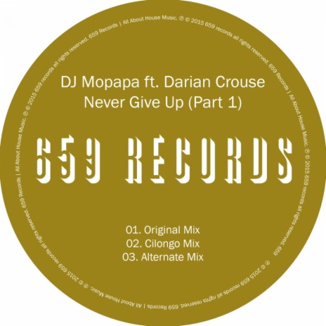 Never Give Up (Alternate Mix) ft. Darian Crouse | Boomplay Music