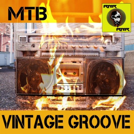 Vintage Groove (Original Mix)