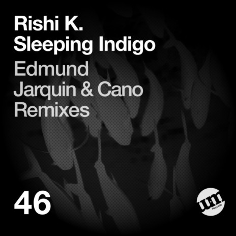 Sleeping Indigo (Jarquin & Cano Remix) | Boomplay Music