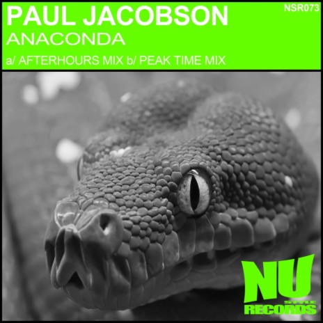 Anaconda (PJ Peak Time Mix)