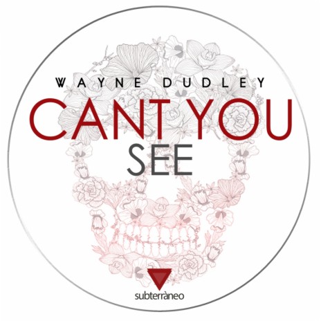 Can't You See (Club Mix) | Boomplay Music
