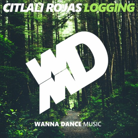 Logging (Original Mix)