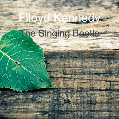 The Singing Beetle | Boomplay Music