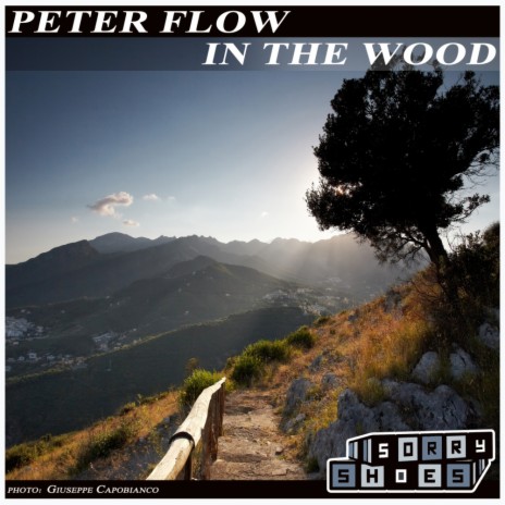 In The Wood (Original Radio Mix) | Boomplay Music