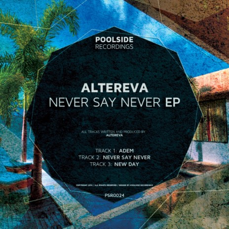 Never Say Never (Original Mix) | Boomplay Music