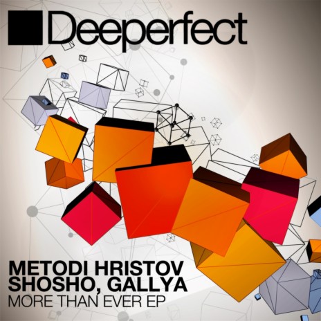 We Don't Need (Original Mix) ft. Metodi Hristov & Shosho