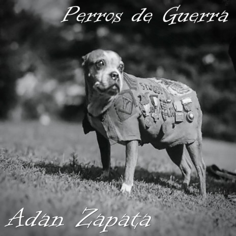 Adan Zapata - Perros de Guerra ft. Srath MP3 Download & Lyrics | Boomplay