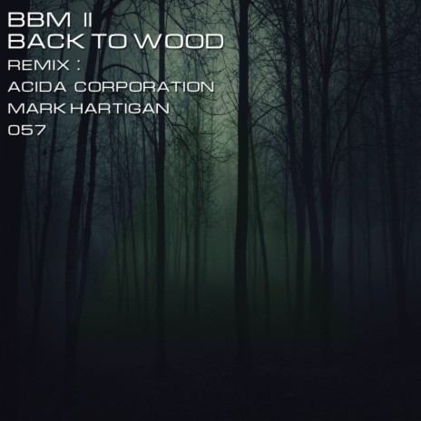 Back To Wood (Mark Hartigan Remix) | Boomplay Music