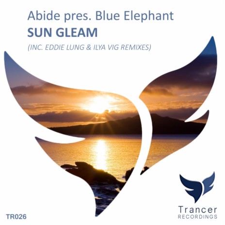 Sun Gleam (Ilya ViG Remix)
