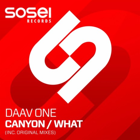 What (Original Mix)