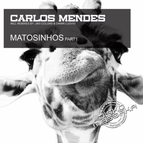 Matosinhos (Damir Ludvig Remix)