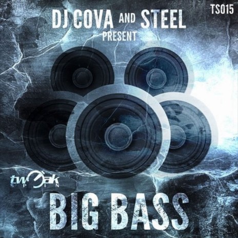 Big Bass (Original Mix) ft. Steel | Boomplay Music