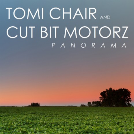 Panorama (Donald Wilborn's Widescreen Remix) ft. Tomi Chair | Boomplay Music