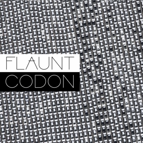 Codon (Original Mix) ft. Justin Jennings | Boomplay Music