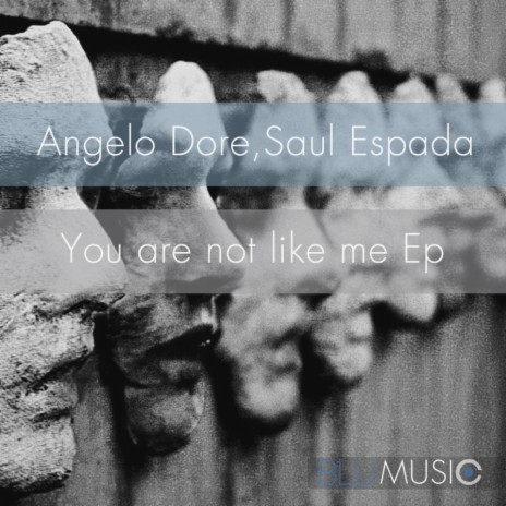 You Are Not Like Me (Original Mix) ft. Saul Espada | Boomplay Music