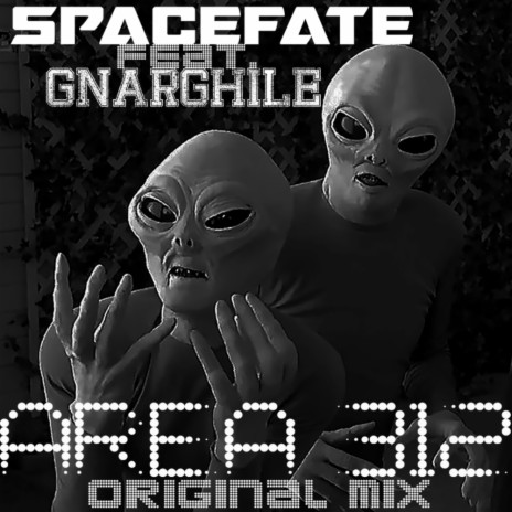 Area 312 (Original Mix) ft. Gnarghile | Boomplay Music