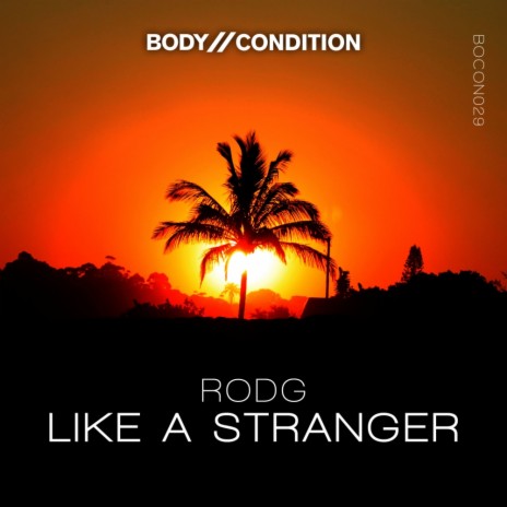 Like A Stranger (Original Mix) | Boomplay Music