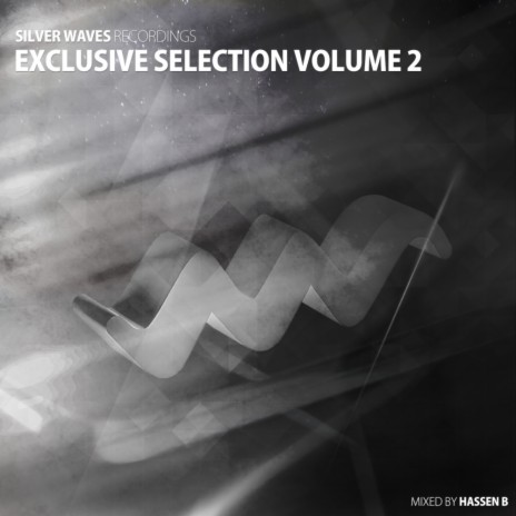 Silver Waves Exclusive Selection Vol. 2 (Continuous DJ Mix) | Boomplay Music