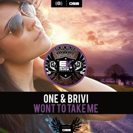 Wont To Take Me (Original Mix) ft. Brivi | Boomplay Music