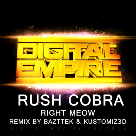 Right Meow (Kustomiz3d Remix) | Boomplay Music