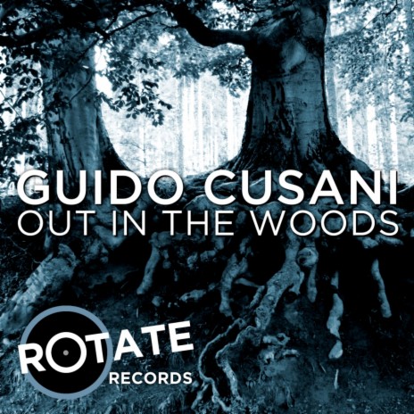Out In The Woods (Original Mix) | Boomplay Music