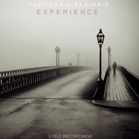 Experience (Album Mix) ft. Alex Sverid | Boomplay Music