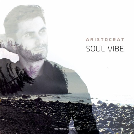 Soul Vibe (Original Mix) | Boomplay Music