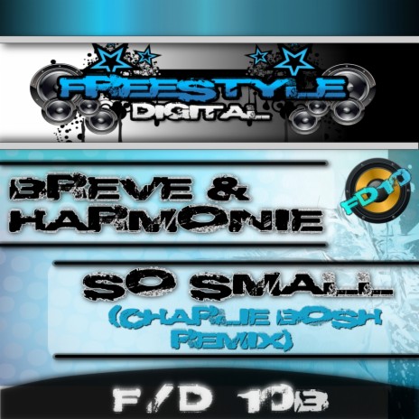 So Small (Charlie Bosh Remix) ft. Harmonie | Boomplay Music