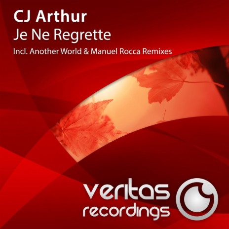 Je Ne Regrette (Another World Remix)