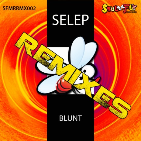 Blunt (Roberto Corso, Angelo Raguso Remix) | Boomplay Music