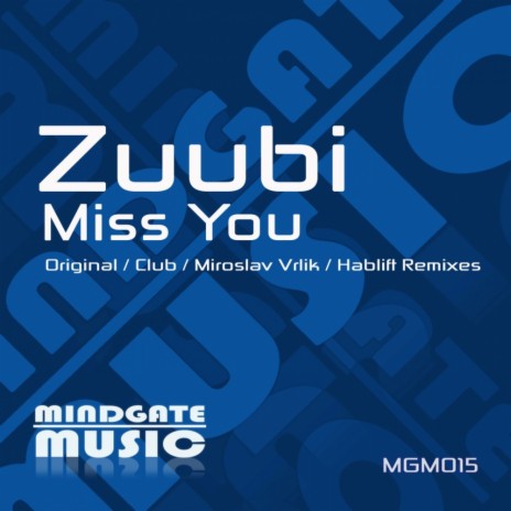 Miss You (Miroslav Vrlik Remix)