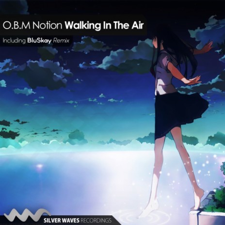 Walking In The Air (BluSkay Remix) | Boomplay Music
