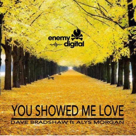 You Showed Me Love (Radio Edit) ft. Alys Morgan