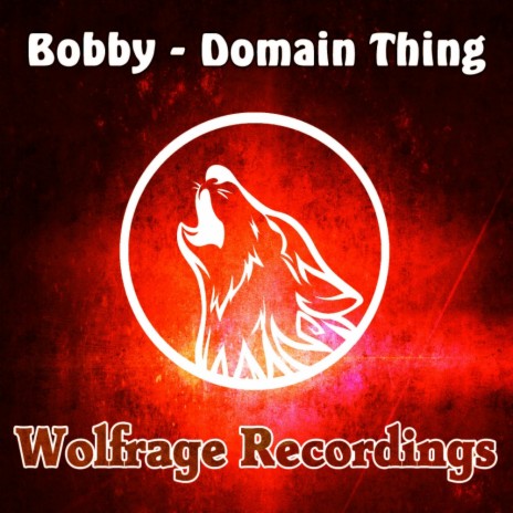 Domain Thing (Original Mix)