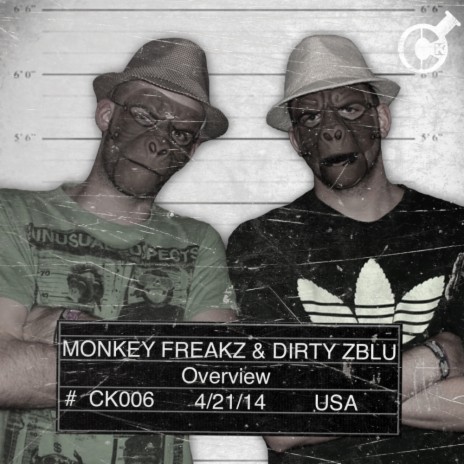 Overview (Original Mix) ft. Dirty Zblu