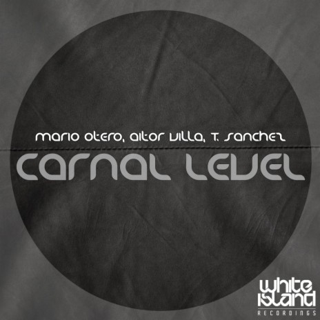 Carnal Level (Original Mix) ft. Aitor Villa & T. Sanchez | Boomplay Music