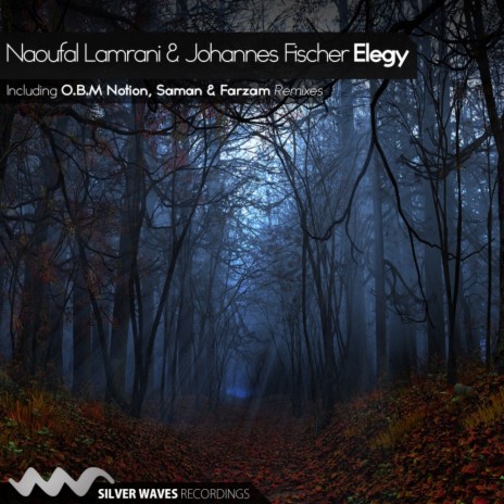 Elegy (Saman & Farzam Remix) ft. Johannes Fischer | Boomplay Music