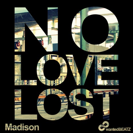 No Love Lost | Boomplay Music