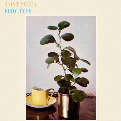 Body Type | Boomplay Music