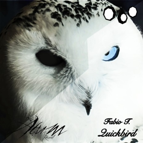 Quickbird (Original Mix) | Boomplay Music