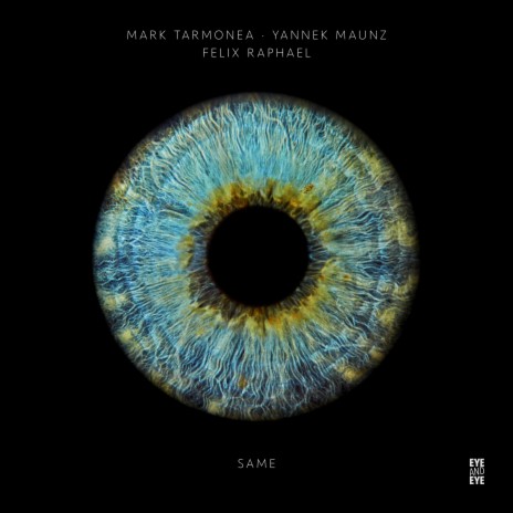 Same (Radio Edit) ft. Yannek Maunz & Felix Raphael | Boomplay Music