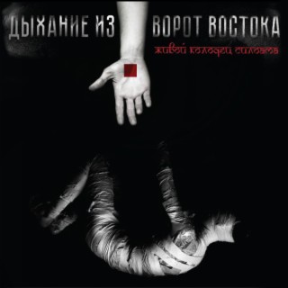Живой Колодец Силоама