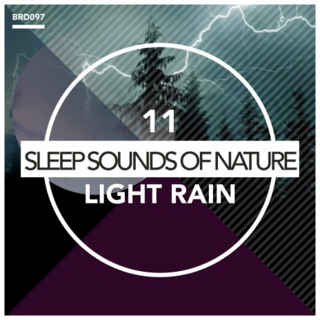 Light Rain (Original Mix)
