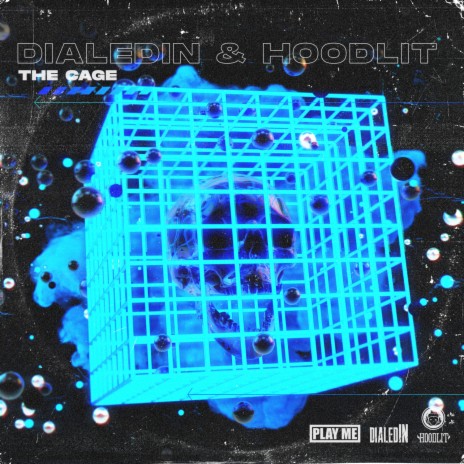 The Cage ft. HOODLIT | Boomplay Music
