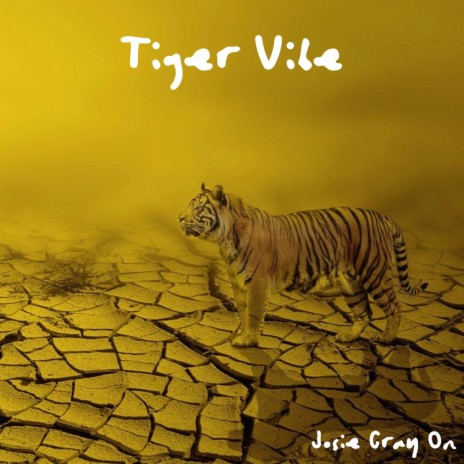 Tiger Vibe | Boomplay Music