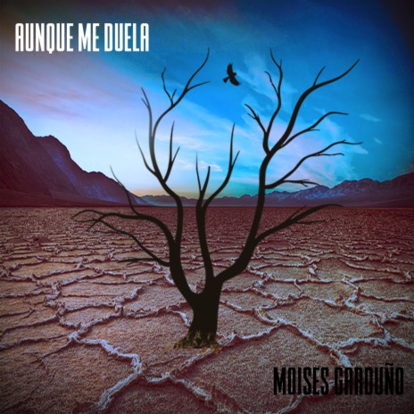 Aunque Me Duela | Boomplay Music