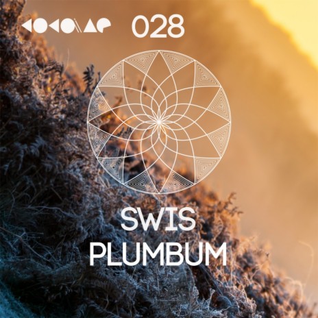 Plumbum (Original Mix) | Boomplay Music