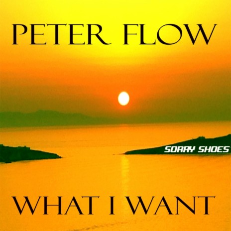 What I Want (Original Radio Mix)