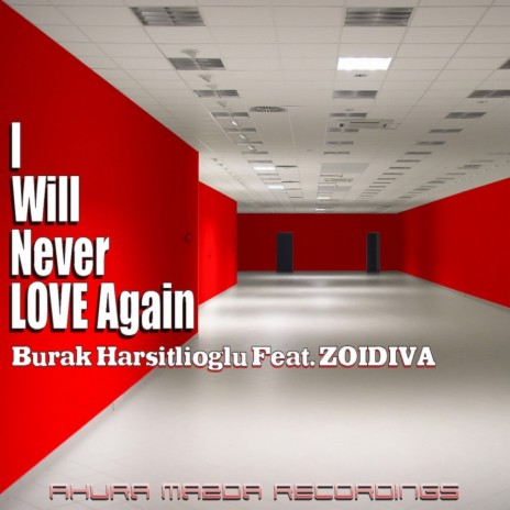 I Will Never Love Again (Original Mix) ft. ZoiDiva | Boomplay Music
