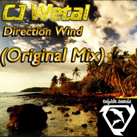 Direction Wind (Original Mix) | Boomplay Music